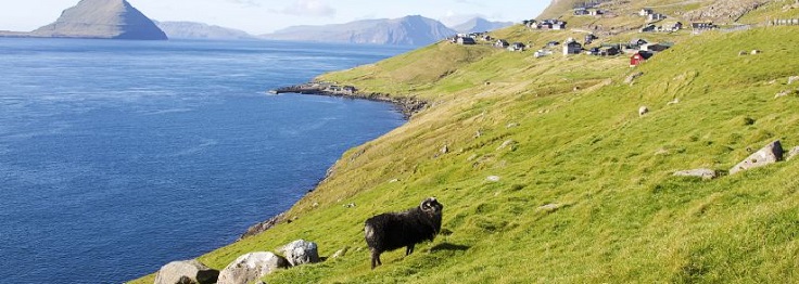 Shetlands, Faroe Islands and Iceland - In the Wake of the Vikings