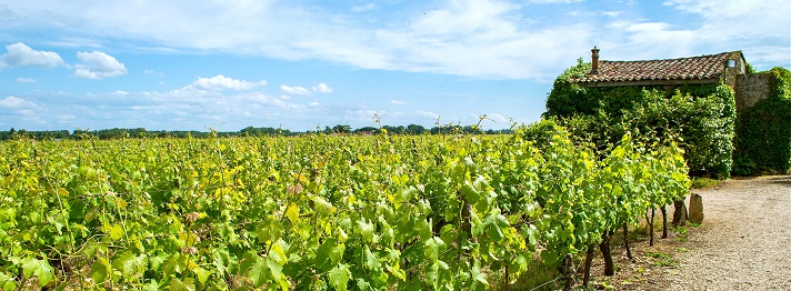 Exceptional Bordeaux